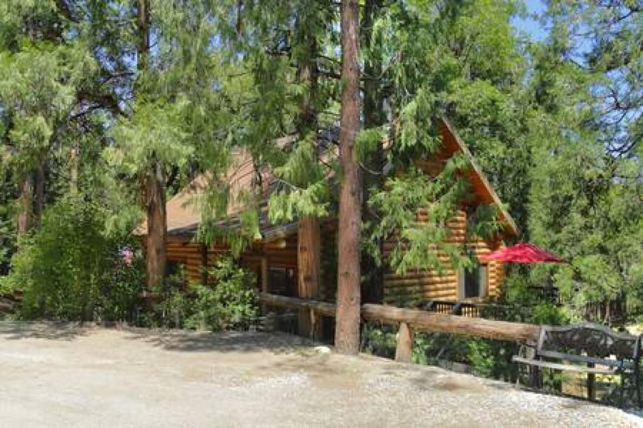 אידילווילד Eagles Nest - Natural Log Cabin With Guest House מראה חיצוני תמונה