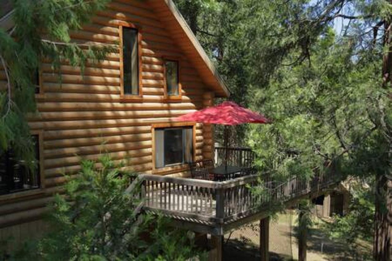 אידילווילד Eagles Nest - Natural Log Cabin With Guest House מראה חיצוני תמונה